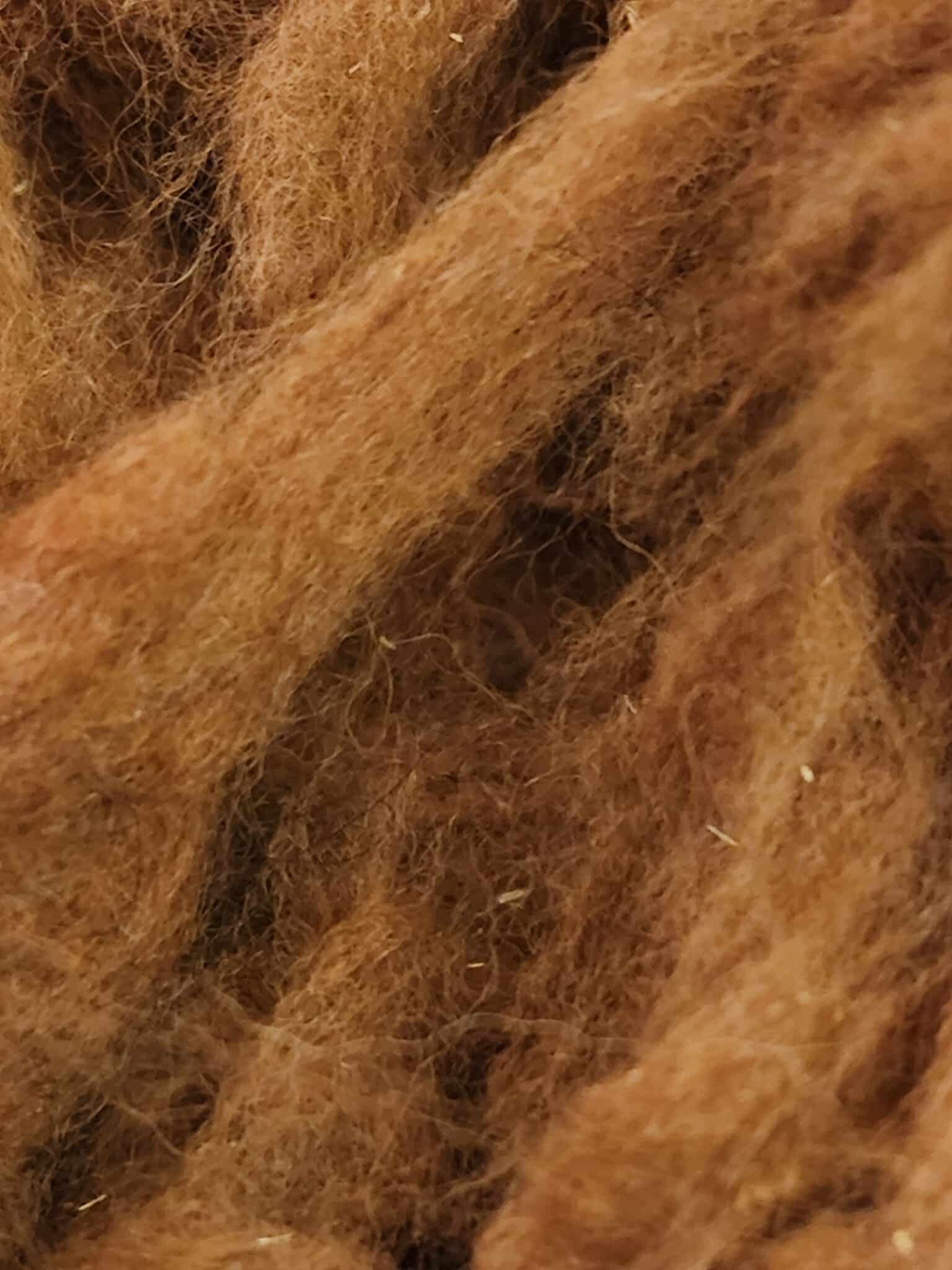 4.5 Oz. Huacaya Alpaca Blanket Fleece Kid Kody, Skirted Picked and Washed,  Light Brown Fiber for Spinning, Felting & Weaving – Fiber Artist Market