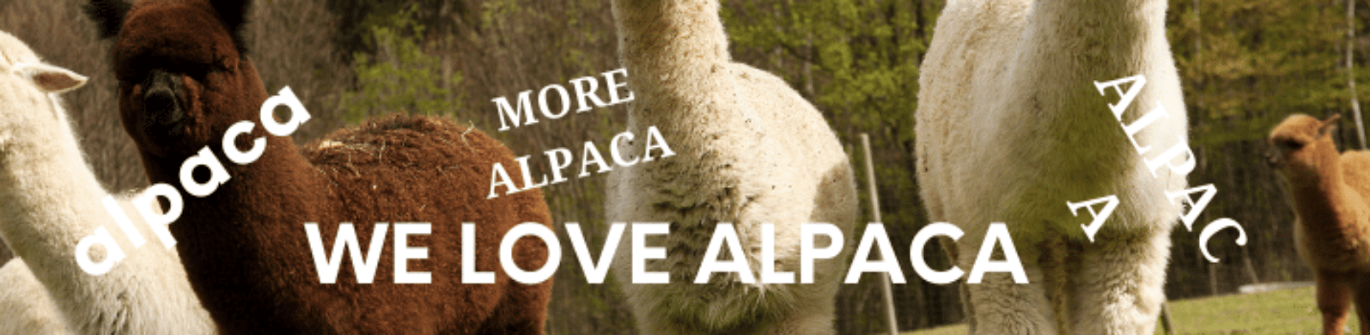 Tapestry Farm Alpacas