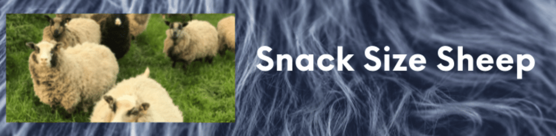 snack size sheep
