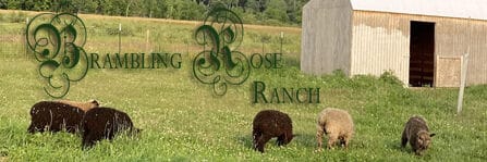 Brambling Rose Ranch
